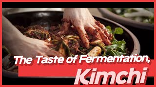 The Taste of Fermentation, Kimchi