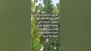 ما تيسر من#سورة_النور #القرآن_الكريم #اكتب_شي_تؤجر_عليه