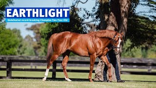 AUS: Earthlight 2022 Stallion Showreel