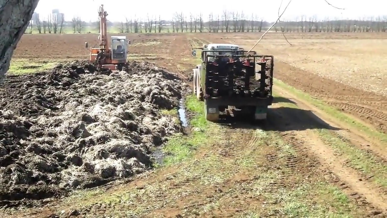 Beim Mist Fahren mit Fendt 514 C und M 1000 Bagger