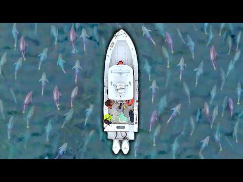 SURROUNDED by Bluefin Tuna (Giant Tuna Fishing)