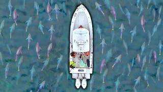 Surrounded By Bluefin Tuna Giant Tuna Fishing