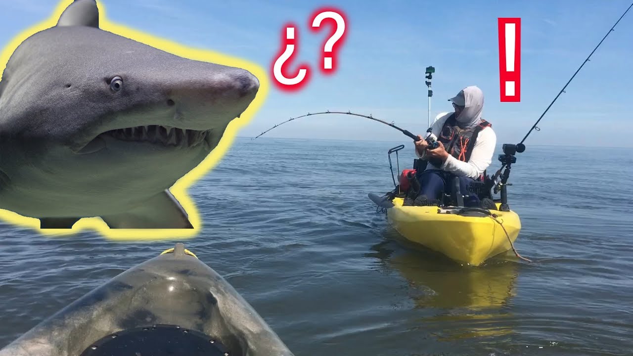 Catching SHARKS on kayaks Saltwater kayak fishing adventures on the