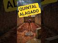 Quintal alagado como resolver — fiz sozinho sem precisar de pedreiro #reforma #timelapse #jardim