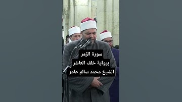 #روائع #التراويح من #رمضان الشيخ محمد سالم عامر يتلو من سورة الزمر #اكسبلور #تيك_توك #لايك #مصر