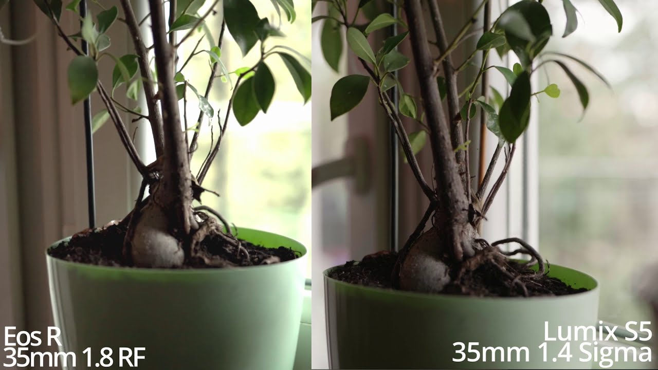 Canon Eos R vs Lumix S5 - 1080p quick comparison