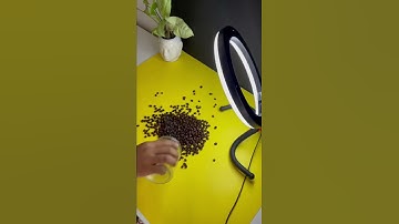 Idea for product photography🔥 || Sambhav Mishra #shorts #bts #shotoniphone #photography