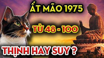 Hé Lộ Hiếm Hoi, Hậu Vận Ất Mão 1975 Từ 48 Đến 100 Tuổi, Thịnh Suy Ra Sao? Vinh Nhục Thế Nào?