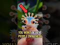 “Top 5 Craziest Pets People Actually Own #funny #animals #dontlaught #pets