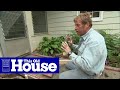 How to Repair a Brick Walkway | This Old House