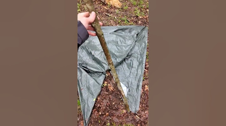 Tarp Tent ⛺️