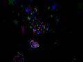 Dream light | Ekota.com | #viral