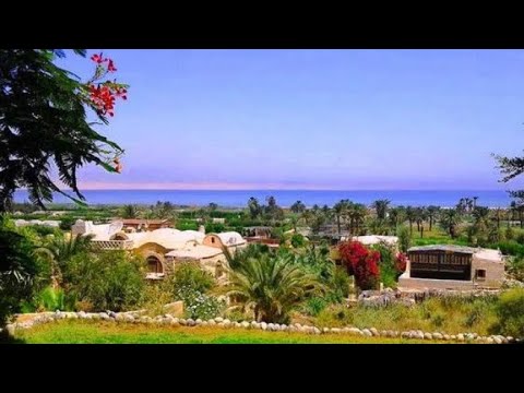 لعشاق الطبيعه و الكامبنج بحيرة قارون امام قرية تونس بالفيوم