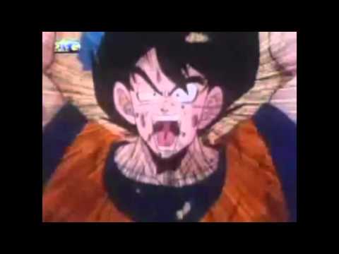 As pérolas da dublagem Portuguesa de portugal em Dragonball Z