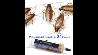 How To Get Rid Of Roaches Fast With Imidasect Roach Gel - Professional Results In 24 Hours