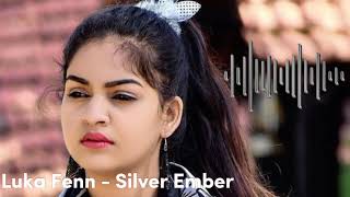 wels AA Company - Silver Ember metallic warmth 2025