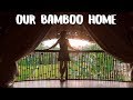 $60 to stay in a Bamboo Villa - UBUD Travel Vlog