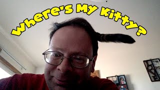 Where's My Kitty? - cute cat video by Nowhere Video Productions 131 views 4 months ago 49 seconds