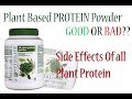 NUTRILITE All Plant Protein use benefits side effect|amway powder|amway all products|