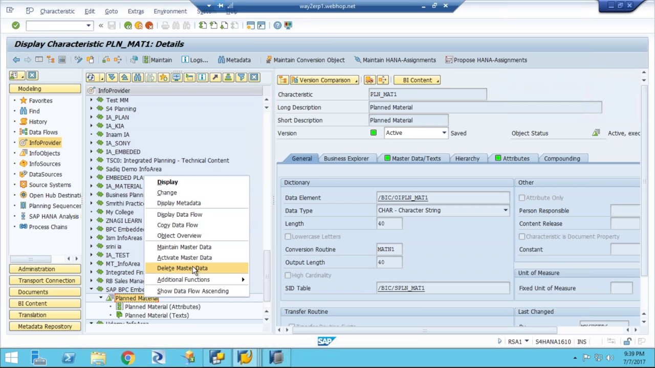 business planning and consolidation tcode in sap