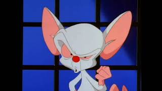 Pinky And The Brain - Intro Czech Vhs