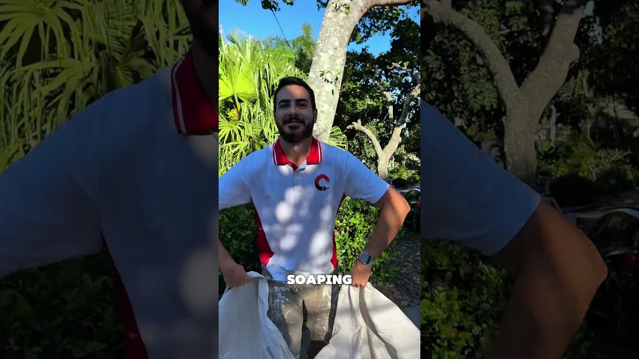 Got MOLD on your walls? Don’t panic Core Painting Solutions has you covered!