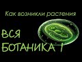 Вся Ботаника 1: Происхождение расте