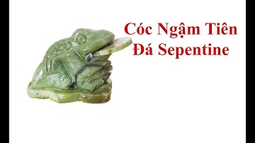 Cóc Ngậm Tiền Đá Sepentine Tự Nhiên