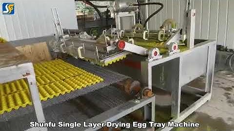 Single Layer Metal Drying Egg Tray Machine