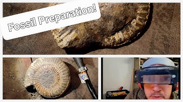 Preparing an ammonite fossil!
