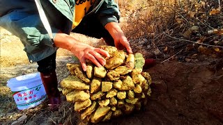 Я нашел большой золотой самородок, а внутри еще больше сокровищ! Драгоценные камни, бриллианты