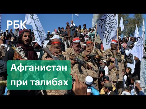 Наказание плетьми, публичные казни, запрет музыки и взрывы памятников. Жизнь по законам «Талибана»