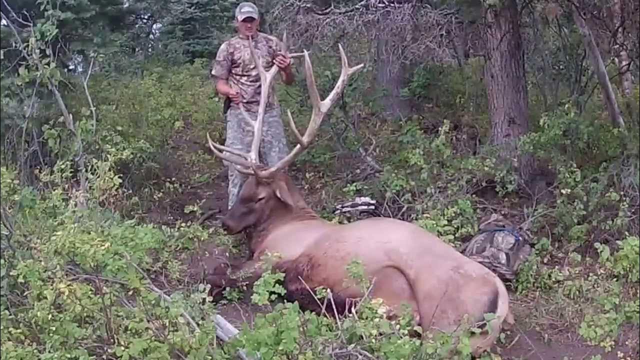Utah Archery Elk Hunt 2013 bw YouTube