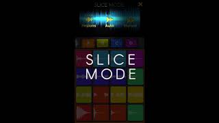 Tutorial 1: Slicing Loops