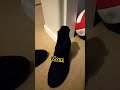 My Sister And Mom S Shoes Shoes My Sister And Mom S Shoes Shoes