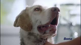 Bona Hard-Surface Floor Cleaner: For Simply Beautiful Floors