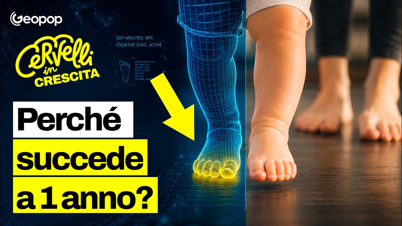Perché i bambini cominciano a camminare intorno ai 12 mesi?