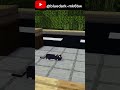 Kucing Jerman tapi kok?!