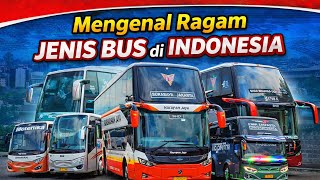 Perbedaan Jenis Bus Indonesia! HD, MHD, SHD, HDD, DD &amp; UHD Dijelaskan Lengkap 🚍🔥