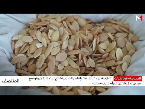 تعاونية جود "بأوناغة" بإقليم الصويرة تنتج زيت الأركان وتوسع فرص دخل ثلاثين امرأة قروية محلية