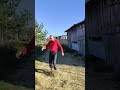 Самогонщики день второй #домиквдеревнеtv