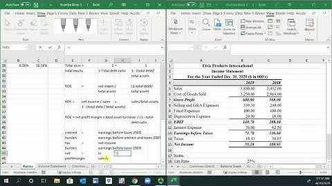 Extended DuPont Analysis