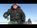 Мастер класс от П.В. по ловле окуня р. Ангара. Март.Иркутск