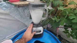 My Fig Trees Fertlization