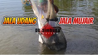 1 Harian MenJala Udang Jala Mujair hitam dapat Banyak