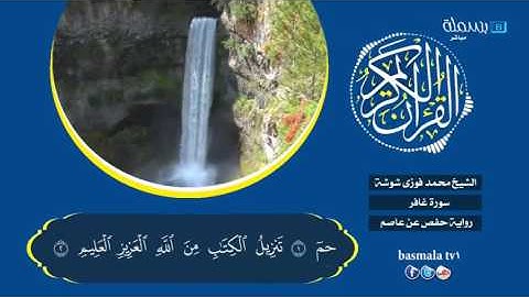 الشيخ محمد فوزي شوشة _ سورة غافر