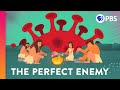 Understanding Human Connection and Resilience