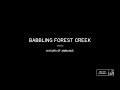 Babbling Forest Brook Calming Creek Stream Water Flowing Nature Sounds - 8 Hours of Ambient Sounds