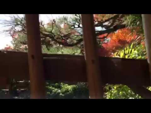 1613 福岡 博多 筥崎宮 花庭園 紅葉 披露宴会場 Youtube 1613 福岡 博多 筥崎宮 花庭園 紅葉 披露宴会場 Youtube