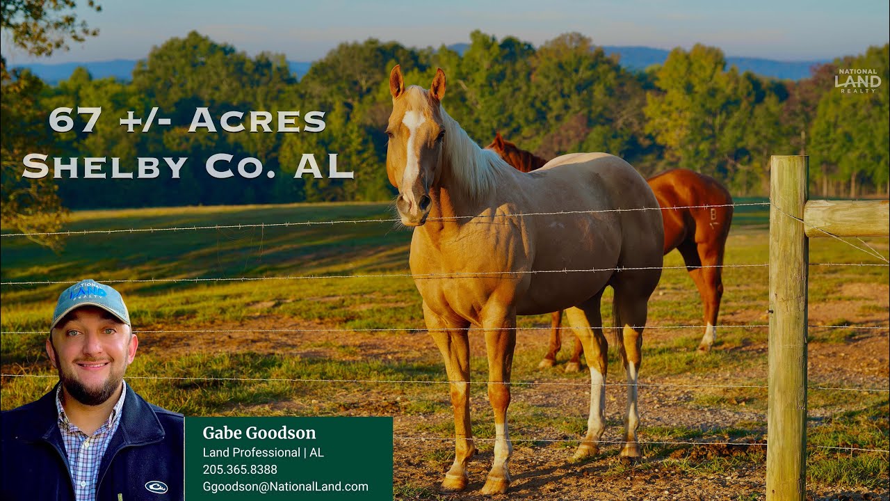 Horse Farm & Barndominum 67+/ Acres Wilsonville, AL Shelby County Land